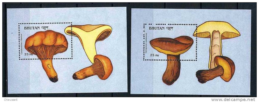 Bhoutan ** Blocs N° 179/180 - Champignons (lot 16) (19 P17) - Bhutan