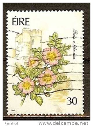 IRELAND 1990 Garden Flowers -30p. - "Rosa X Hibernica" And Mulahide Castle Gardens  FU - Usati