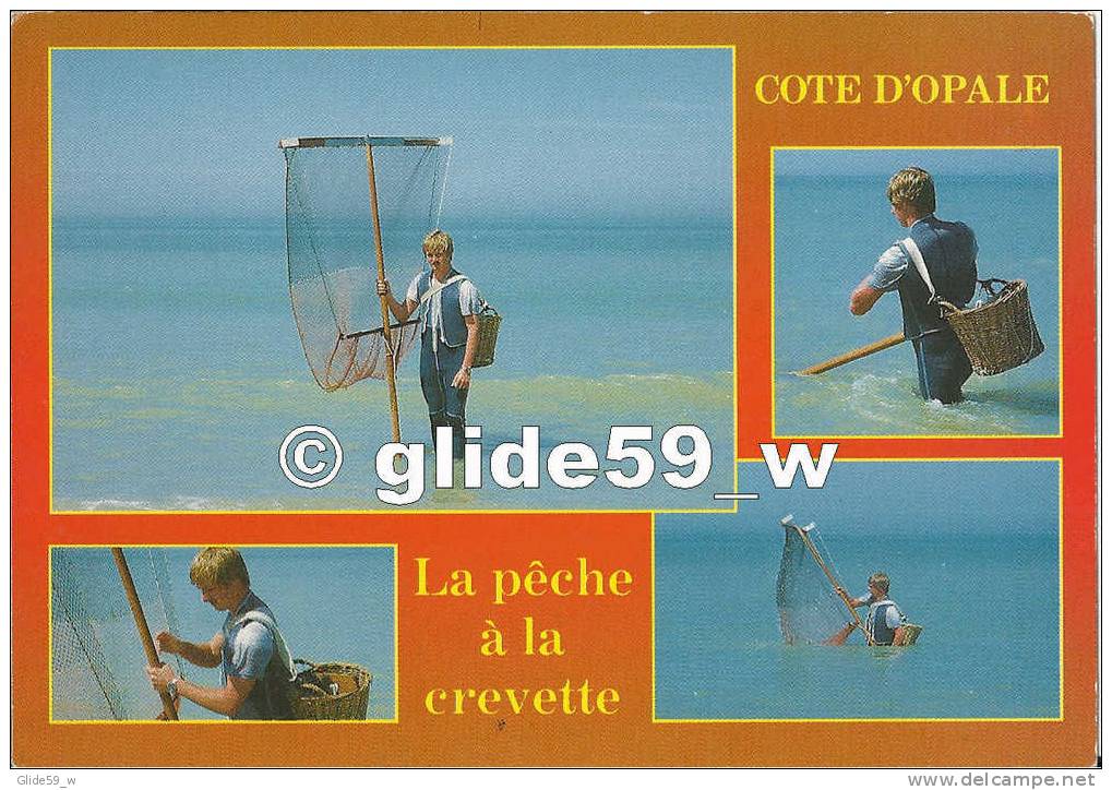 Côte D'Opale - La Pêche à La Crevette - N° C042 - Nord-Pas-de-Calais
