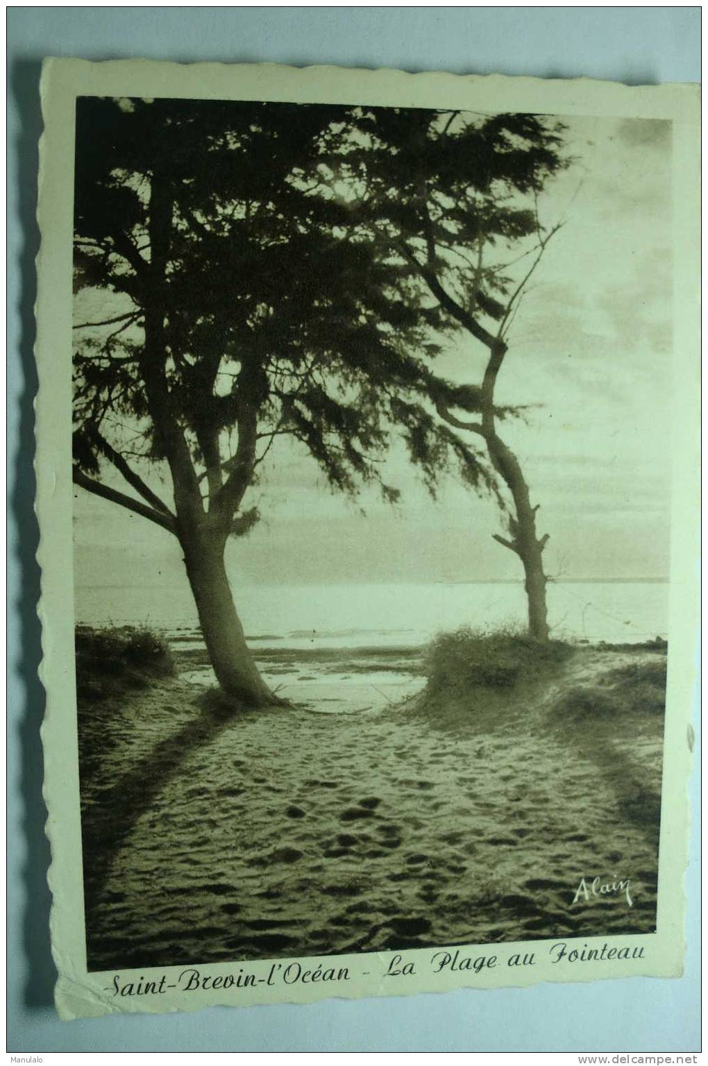 D 44 - Saint Brevin L'océan - La Plage Au Pointeau - Saint-Brevin-l'Océan