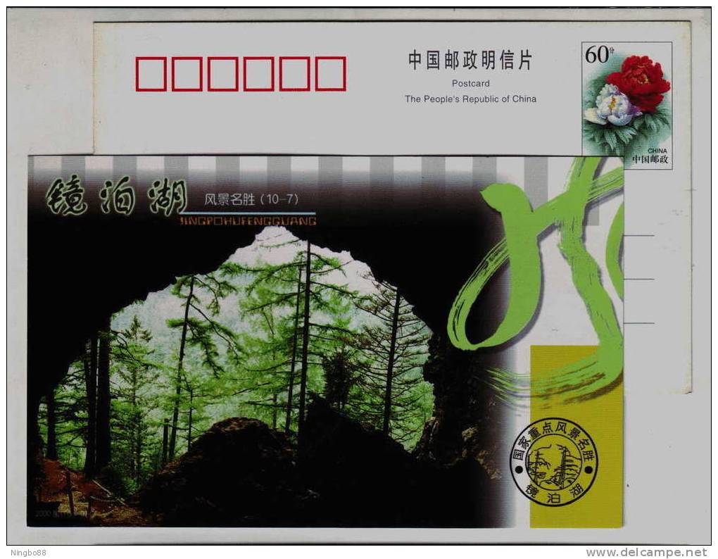 Volcano Crater Forest,China 2000 Jingpohu National Nature Reserve Advertising Postal Stationery Card - Vulkanen