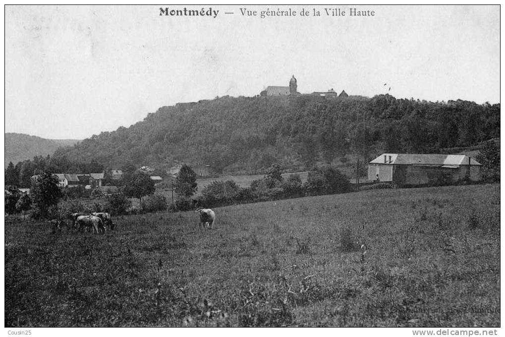 55 MONTMEDY - Vue Générale De La Ville Haute - Montmedy