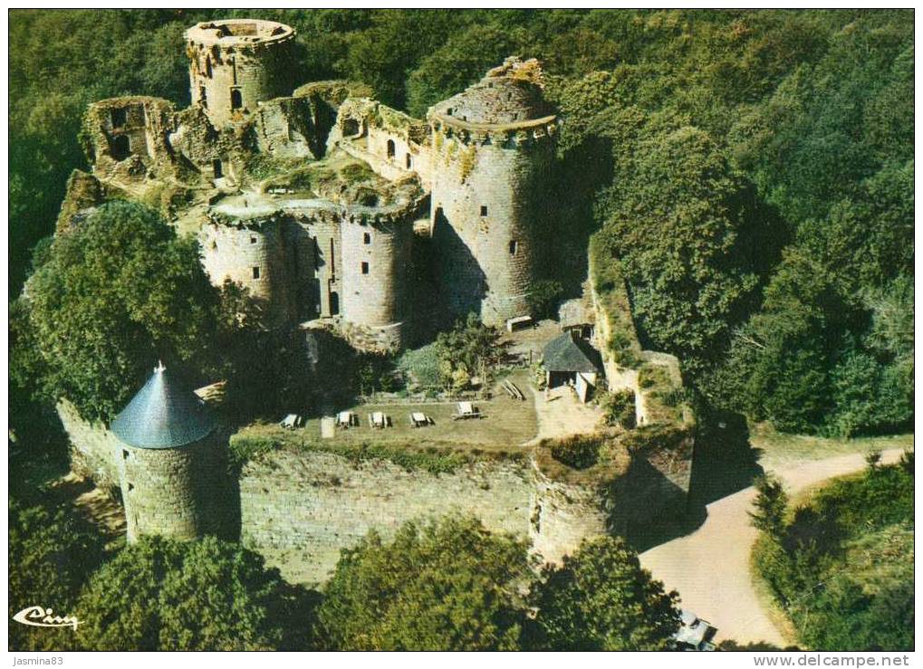 Tonquedec Vue Aérienne Ruines Du Chateau (XIIIe.s.) - Tonquédec