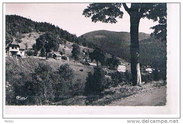 BUSSANG - Hôtel Belle-Vue Et Pont Du Shéchenat - Bussang