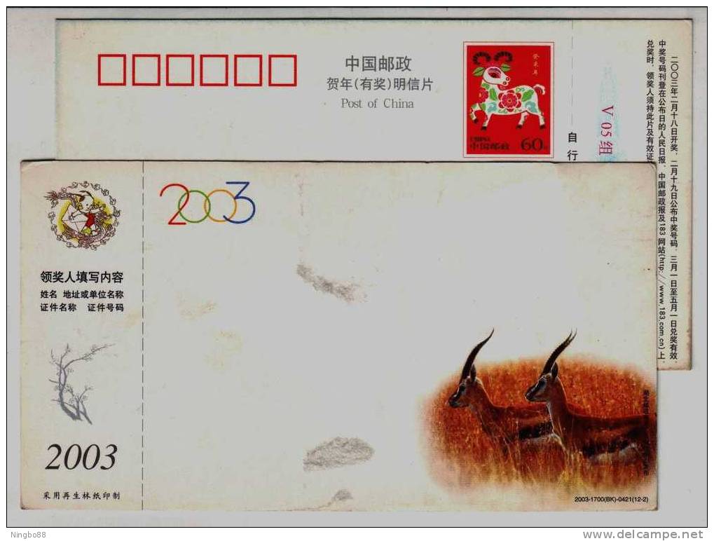 African Animal Gazelle,China 2003 Rare Wildlife Series Advertising Pre-stamped Card,some Flaws On Picture Side - Other & Unclassified