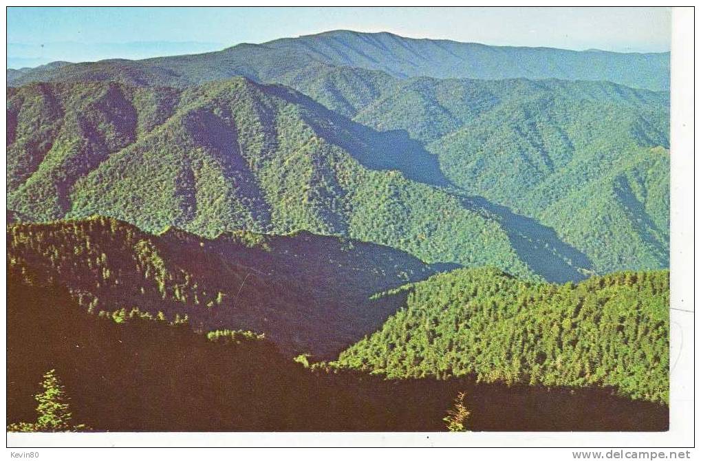 ETATS UNIS CLINGMANS DOME Highest Peak In The Great Mountains National Park Cp Couleur - Autres & Non Classés