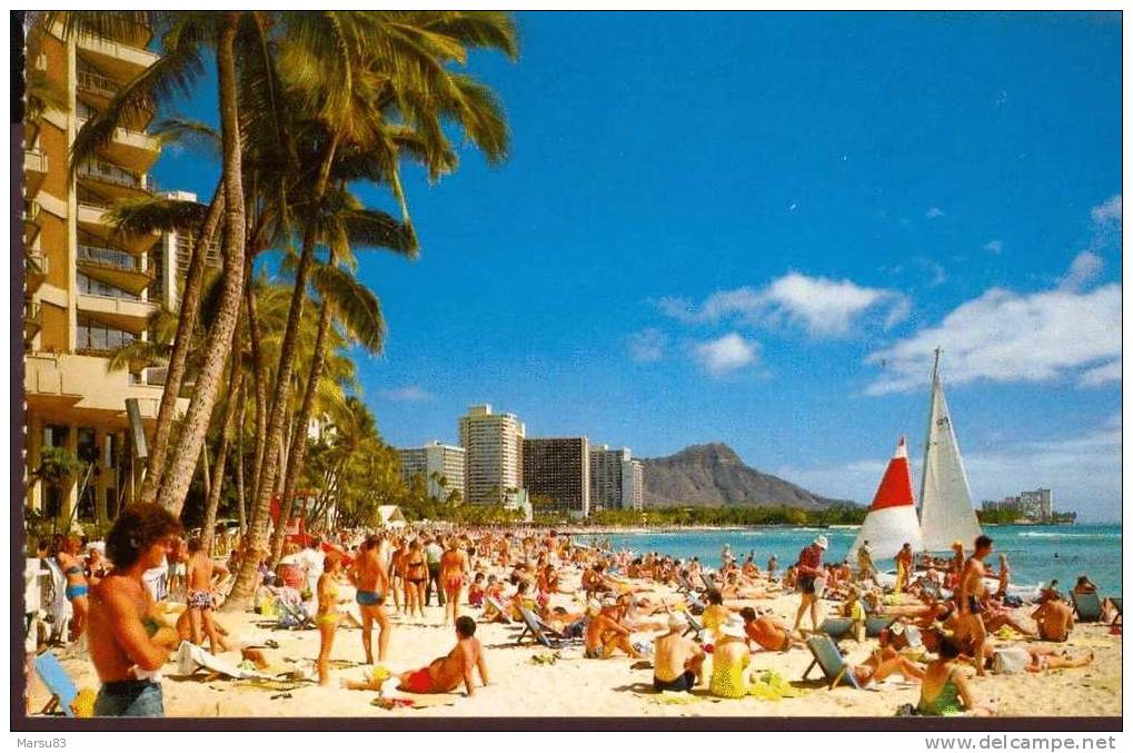 Having Fun And Sun In Waikiki *** Carte NEUVE*** Ed Worldwide Distributors- - Honolulu