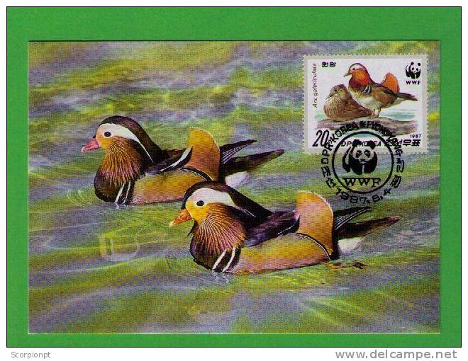 Oiseaux Birds (Aix Galericulata) Ducks Canards Animals Aves Animaux Faune DPR KOREA Carte Maximum Card WWF Sp1766 - Ducks