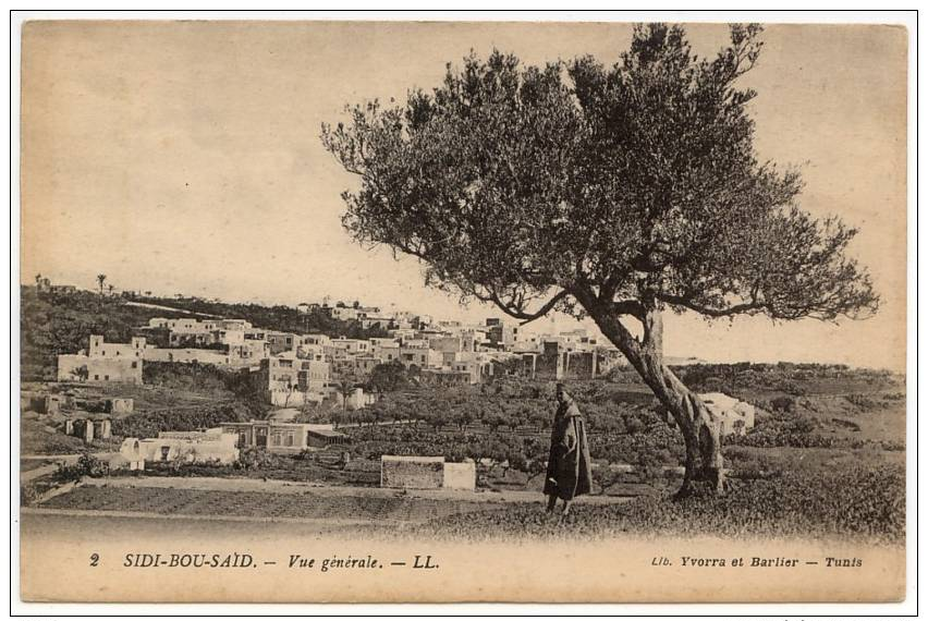 Vintage Postcard, Sidi-Bou-Said - Vue Générale, Tunisia - Tunisie