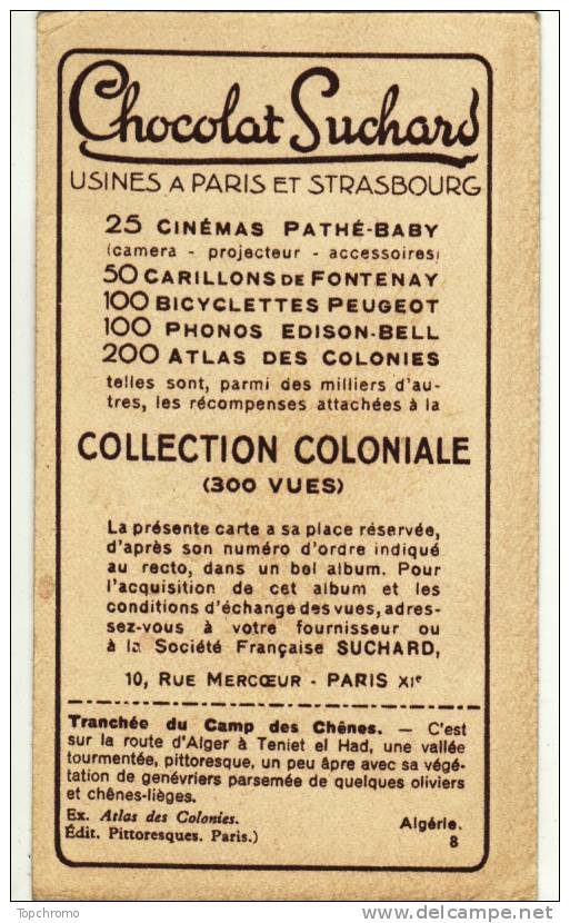 CHROMO Chocolat Suchard Collection Coloniale Tranchée Du Camp Des Chênes Algérie - Suchard