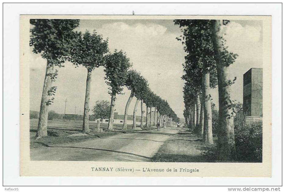 TANNAY - L'AVenue De La Fringale - Tannay