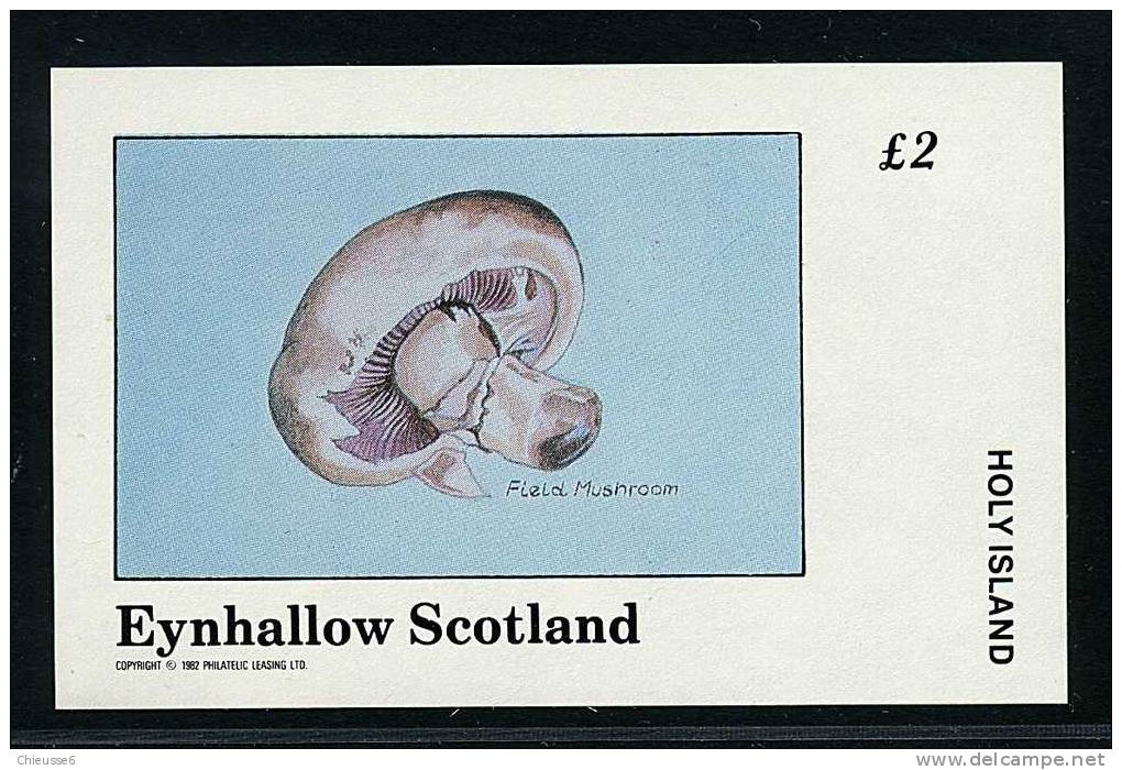 Eynhallow ** Bloc 1982 ND - Champignons (lot 9) (20 P43) - Fantasy Labels