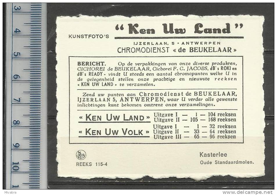 KASTERLEE OUDE STANDAARDMOLEN - MOLEN -MOULIN - MILL - MÜHLE - MOLINO - CHROMO DE BEUKELAAR CICHOREI - De Beukelaer