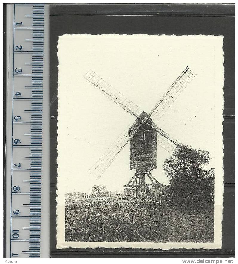 HERENTHOUT - DE  MOLEN - MOLEN -MOULIN - MILL - MÜHLE - MOLINO - CHROMO DE BEUKELAAR CICHOREI - De Beukelaer