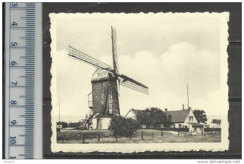 HARELBEKE -  WINDMOLEN - MOLEN -MOULIN - MILL - MÜHLE - MOLINO - CHROMO DE BEUKELAAR CICHOREI - De Beukelaer