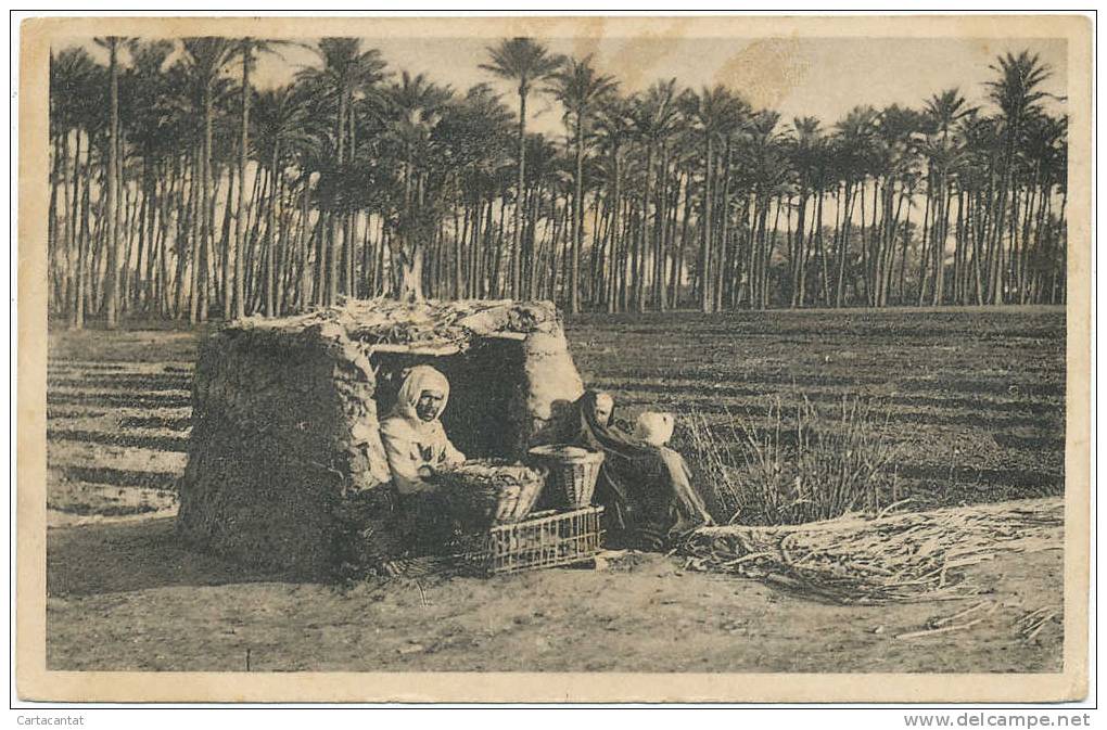 SOMALIA. PALMETO CON ABITANTI DEL LUOGO. CARTOLINA D'EPOCA - Somalie