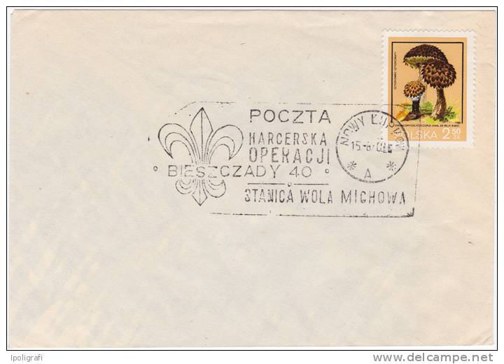 Poland - 1980 - Special Cancellation - Scouting Operations, Campsite Wola Michowa - Nowy Lupkow 15-8-80 - Other & Unclassified