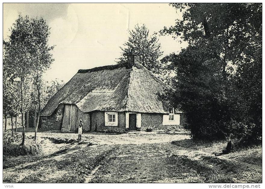 MOL : Achterbosch  : Oude Boerderij    ( Groot Formaat ) - Mol