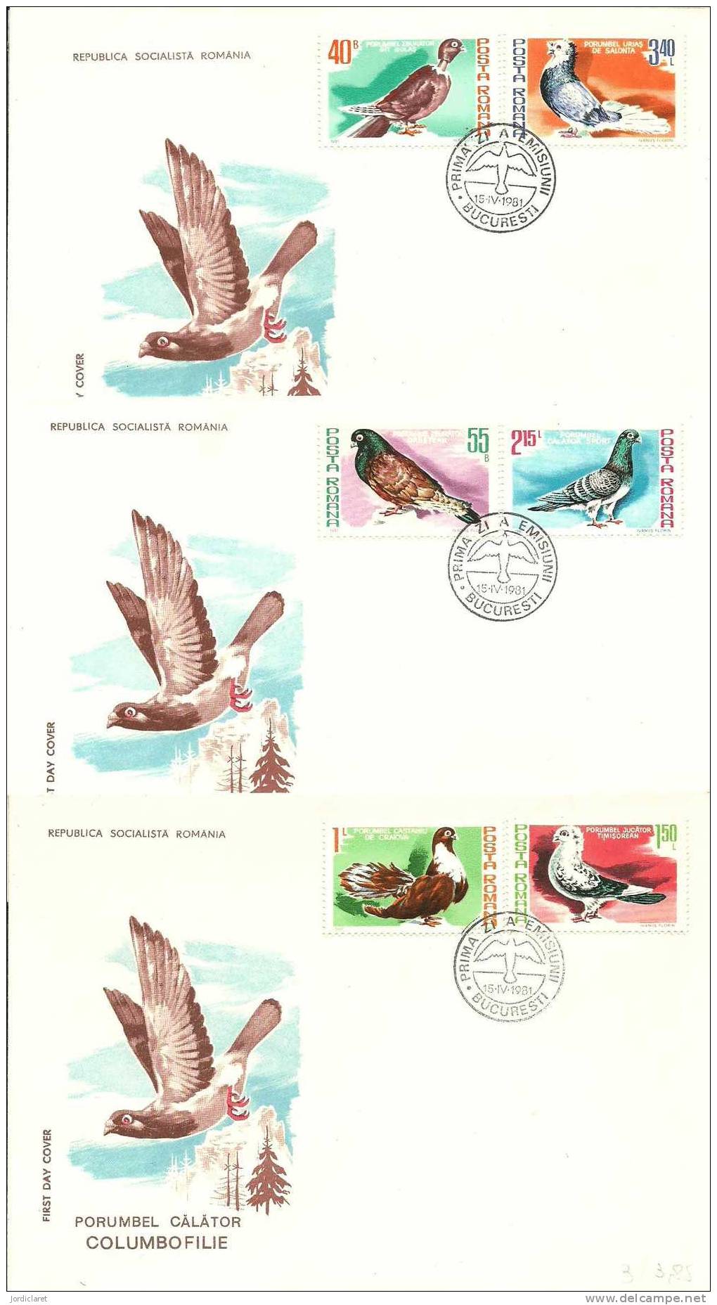 FDC RUMANIA 1981 - Pigeons & Columbiformes