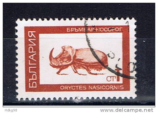 BG+ Bulgarien 1968 Mi 1829 Nashornkäfer - Used Stamps