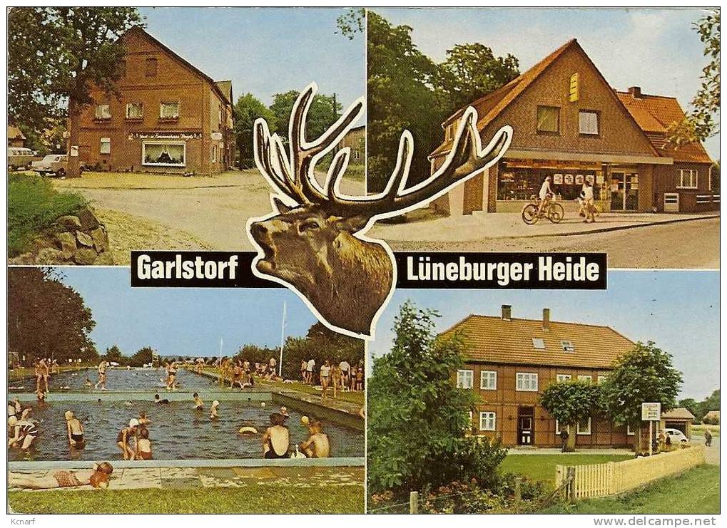 CP De LÜNEBURG / Lueneburg " Garlstorf Am Walde - Lüneburger Heide " . - Lüneburger Heide