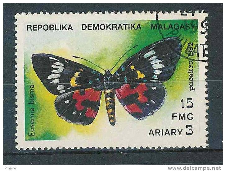 Papillon - Butterfly - Madagascar - Farfalle