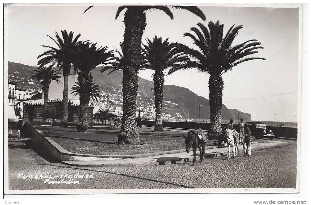 2398 - Funchal - Madeira