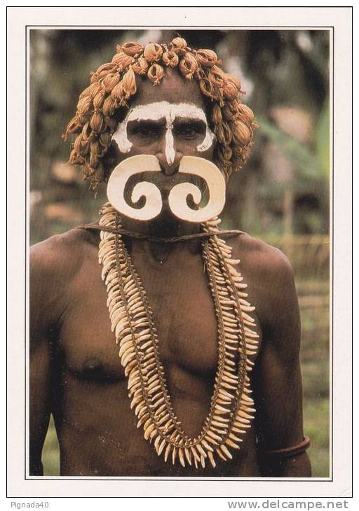 Cp , PAPOUASIE-NOUVELLE-GUINÉE , New GUINEA , Asmat Warrior , Chasseur De Têtes Asmat - Papua-Neuguinea