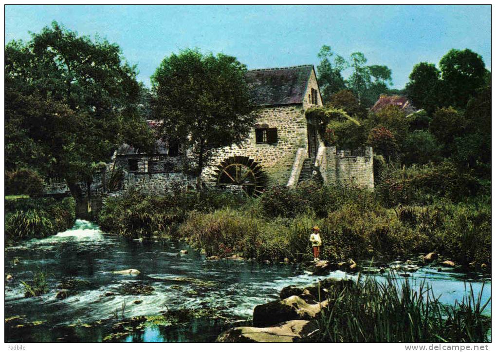 Carte Postale 72. Saint-Léonard-des-Bois  Le Moulin De Val Trés Beau Plan - Saint Paterne