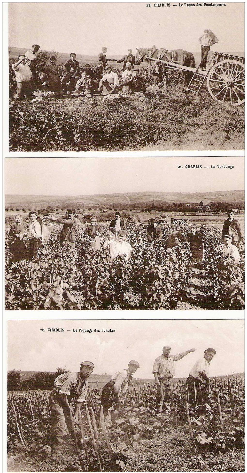 CHABLIS Album Souvenir 10 Cartes Les Vendanges Dans Le CHABLISIEN/ Rare Complet - Chablis