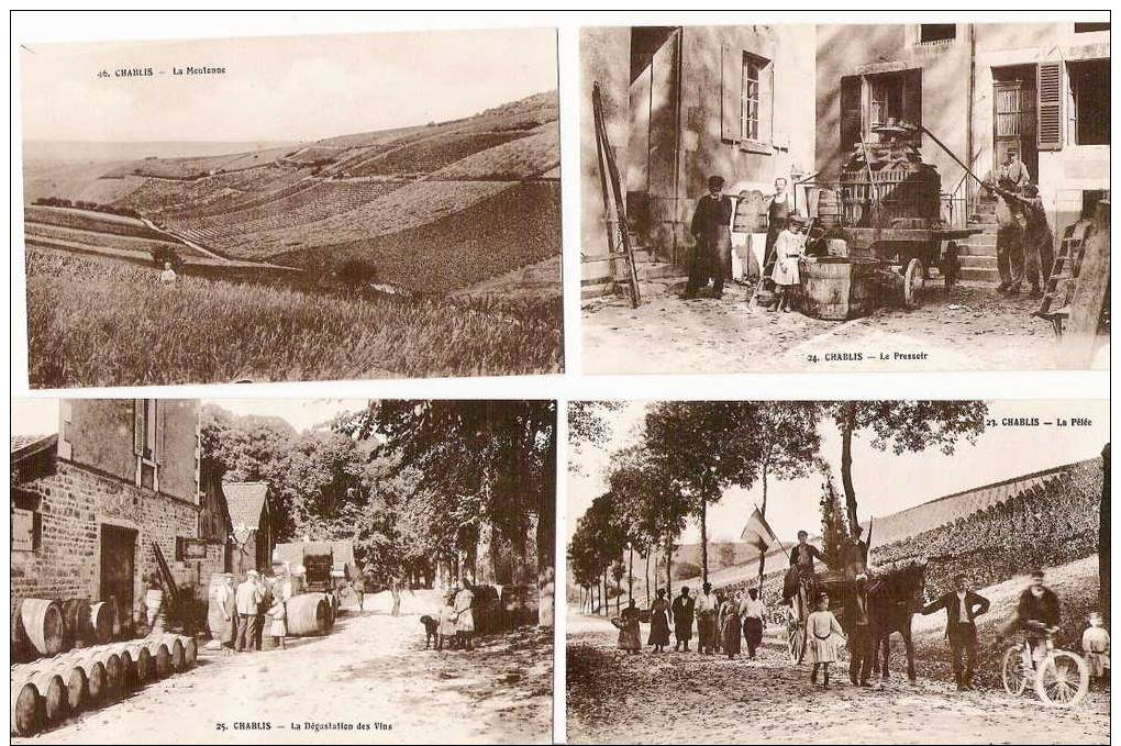 CHABLIS Album Souvenir 10 Cartes Les Vendanges Dans Le CHABLISIEN/ Rare Complet - Chablis