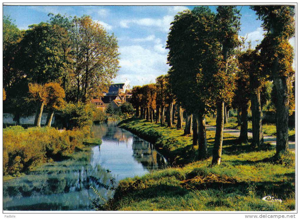 Carte Postale 80. Doullens  L'Authie Trés Beau Plan - Doullens