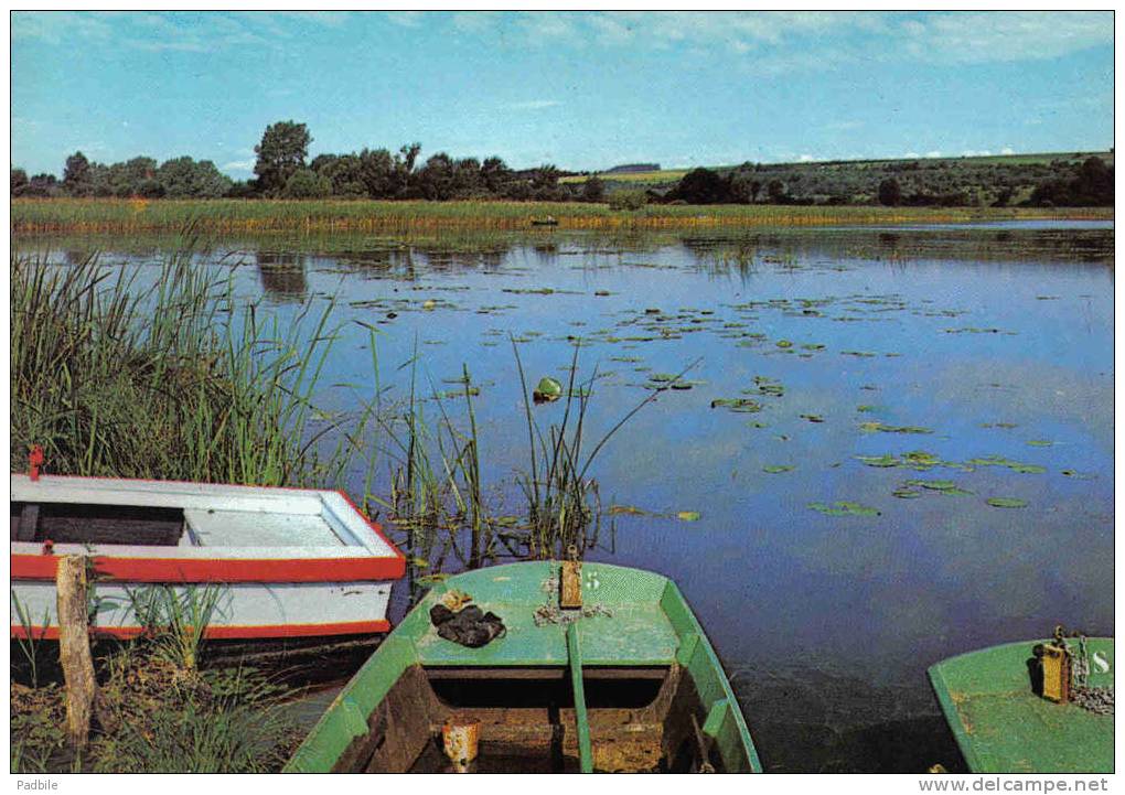 Carte Postale 80. Etangs De La Somme  Paradis Des Chasseurs Et Pêcheurs Trés Beau Plan - Naours