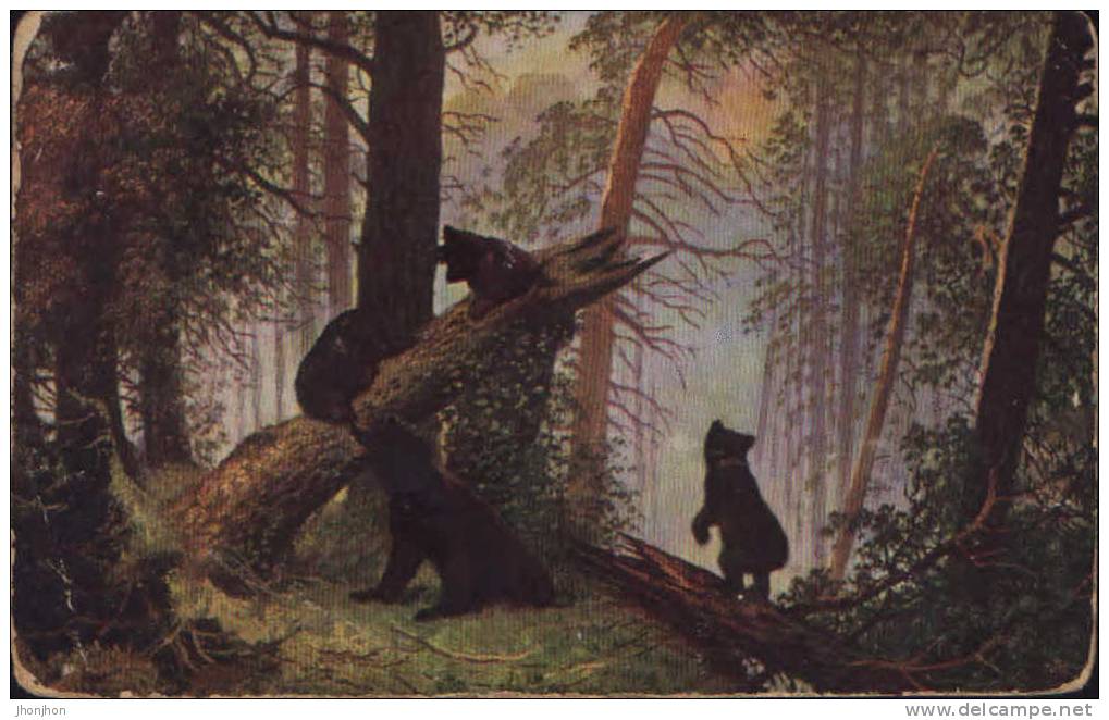 Russia - Old Postcard Unused- Bears In The Fir Forest - 2/scans - Beren