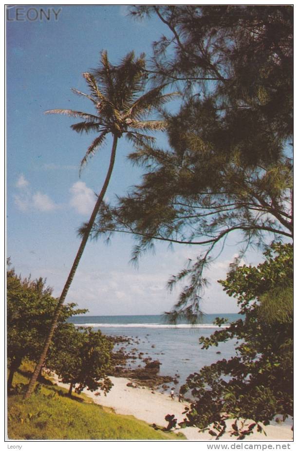 CPM De MAURICE - MAURITIUS - Plage Du SUD EST - Maurice