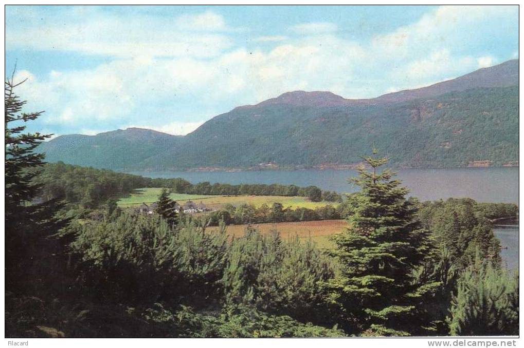 14880  Regno  Unito,    Loch  Ness  From  Above  Foyers,  VG  1980 - Inverness-shire