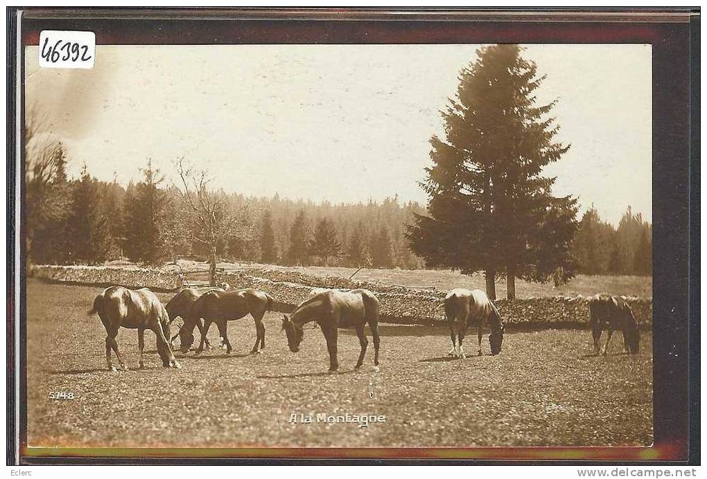 CHEVAUX DES FRANCHES MONTAGNES - TB - Sonstige & Ohne Zuordnung