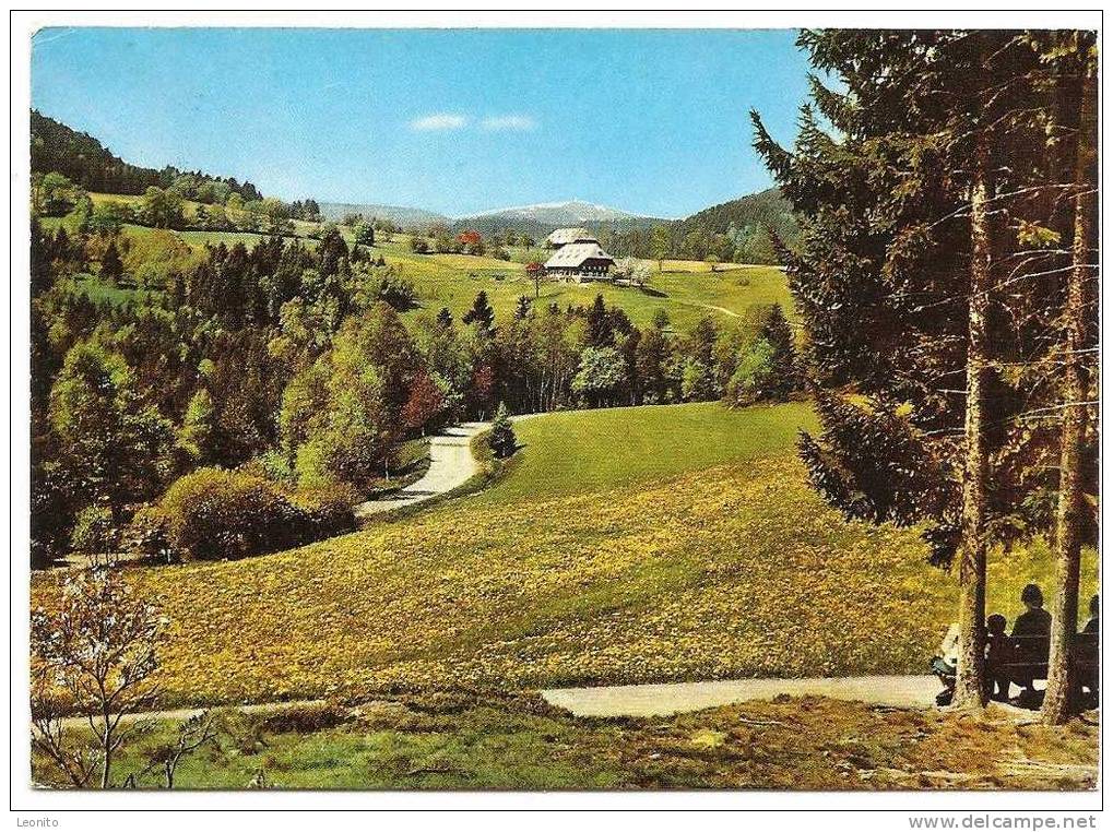 Hinterzarten FELDBERGBLICK Stempel ! 1972 - Hinterzarten