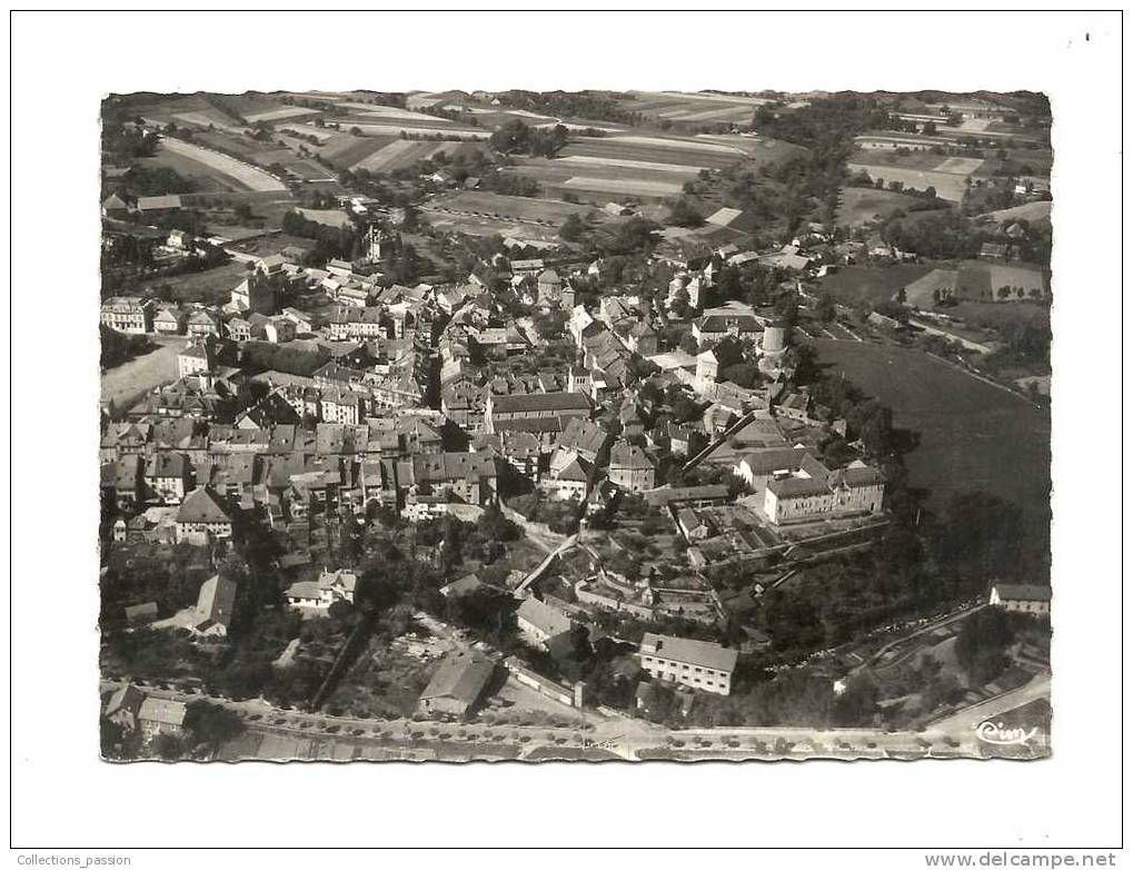 Cp, 74, La Roche-sur-Foron, Vue Aérienne - La Roche-sur-Foron