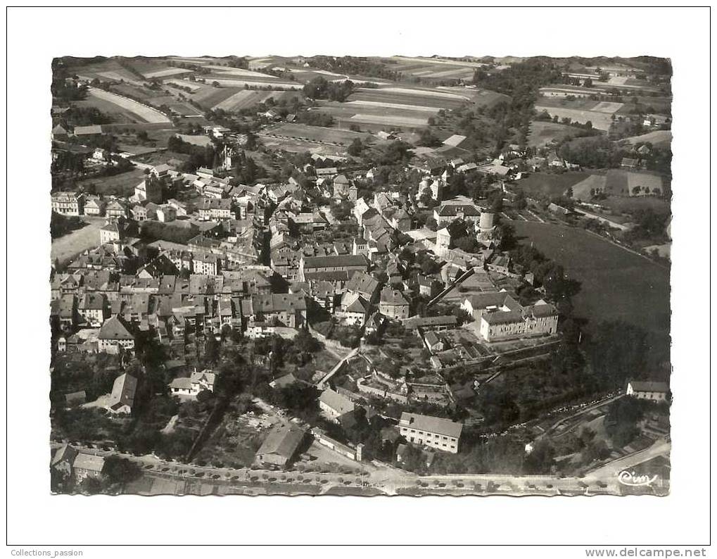 Cp, 74, La Roche-sur-Foron, Vue Aérienne - La Roche-sur-Foron