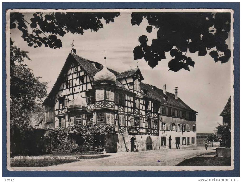 TG THURGOVIE - CP GASTHAUS ZUR DRACHENBURG - GOTTLIEBEN Thg - FOTO U VERLAG HANS GROSS St FIDEN St GALLEN O Nr 9960 - Gottlieben