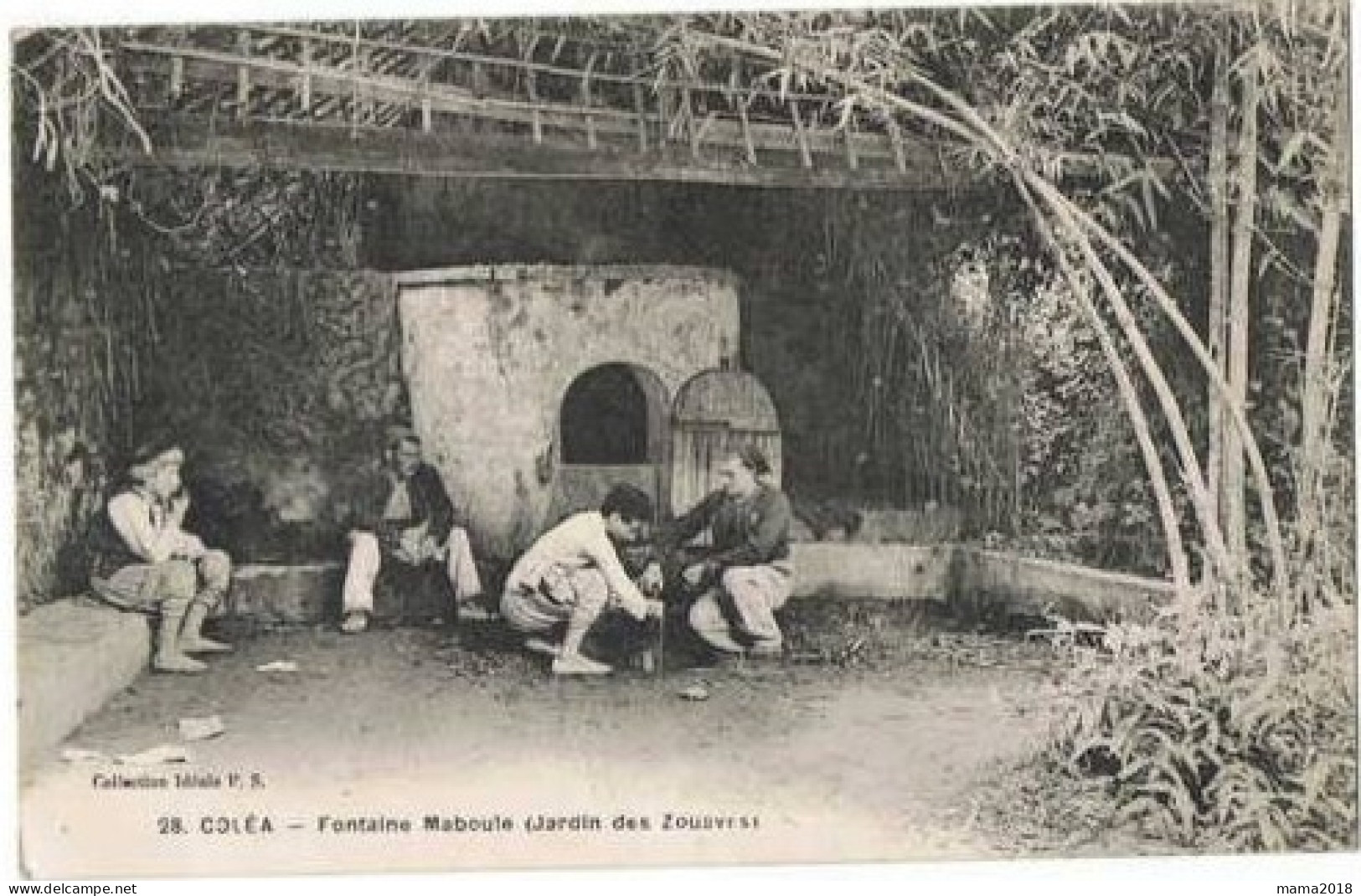 Coléa      Fontaine   Maboule ( Jardin Des Zouaves )   Tampon Militaire Verso ) - África