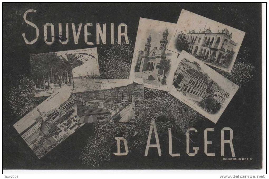 Afrique - Algérie - Alger -  Souvenir D´ Alger - Alger