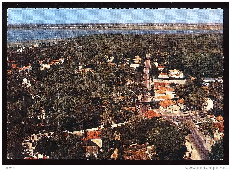 CPM  RONCE LES BAINS  Vue Panoramique Au Fond Marennes - Marennes