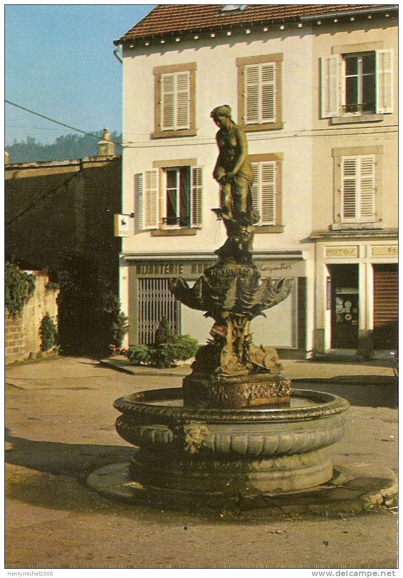 Vosges - Senones , Principauté De Salm , La Bijouterie Et Fontaine - Senones