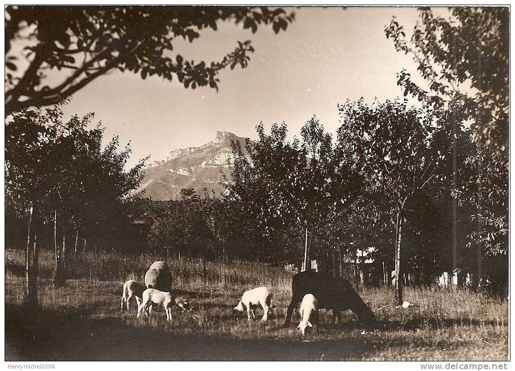 Savoie - Monastère Du Carmel , Le Verger Moutons , Ed Photo Covin - Chambery