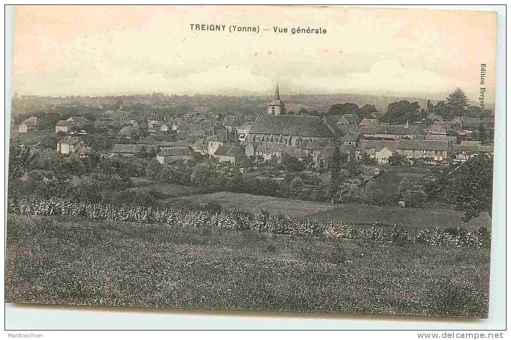 DEP 89 TREIGNY VUE GENERALE - Treigny