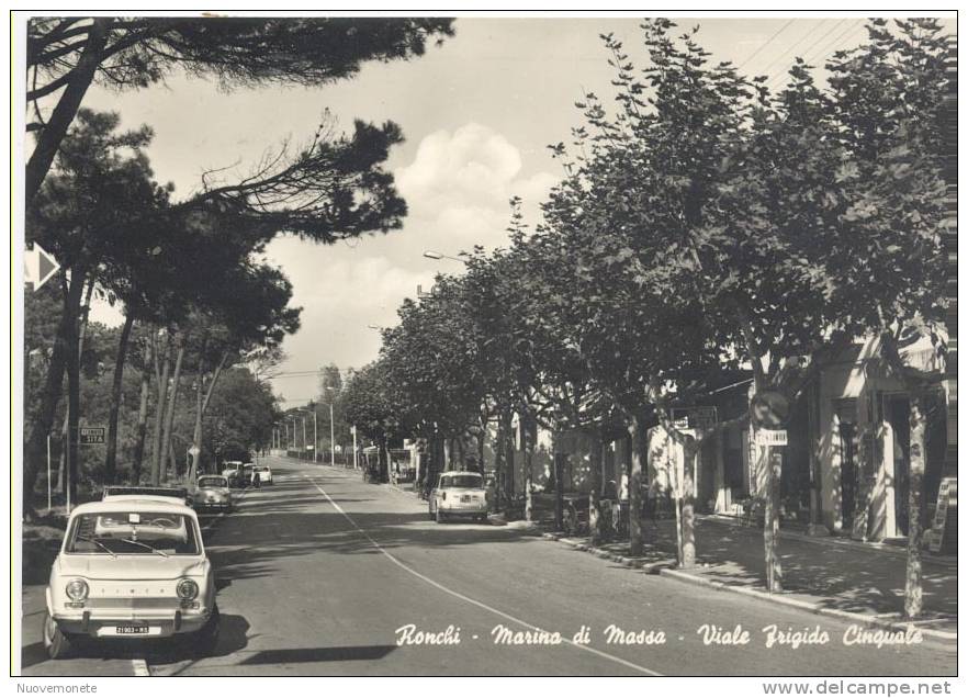 RONCHI - Marina Di Massa - Viale Frigido Cinquale - 1964 - Massa