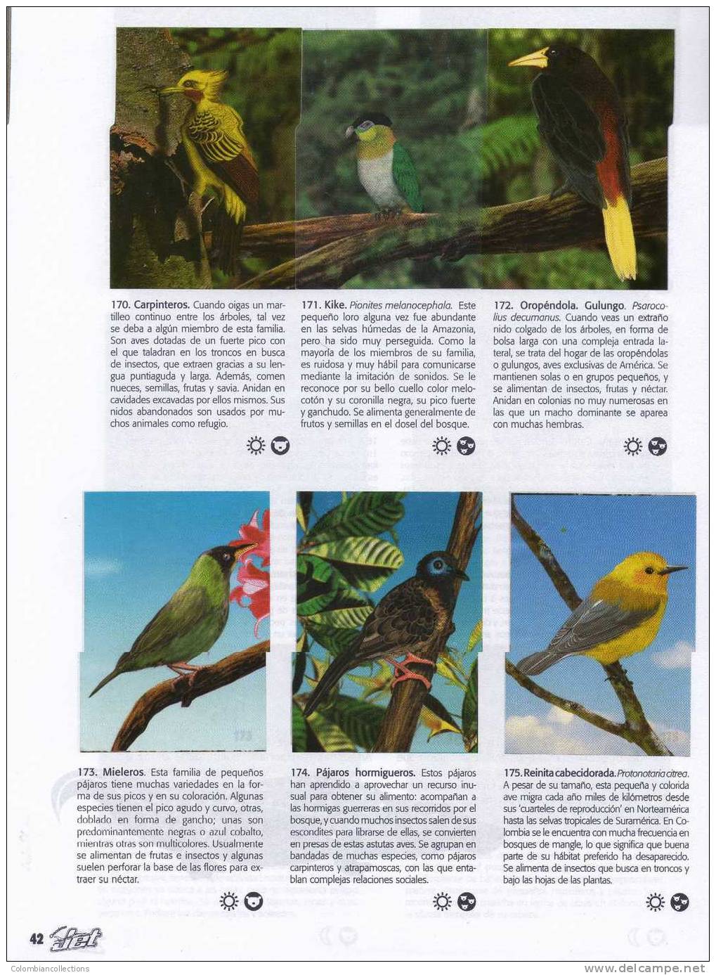 Lote 750, Colombia, 2007, Album De 250 Laminas, El Mundo De Las Animales, Chocolatinas Jet - [4] Themen