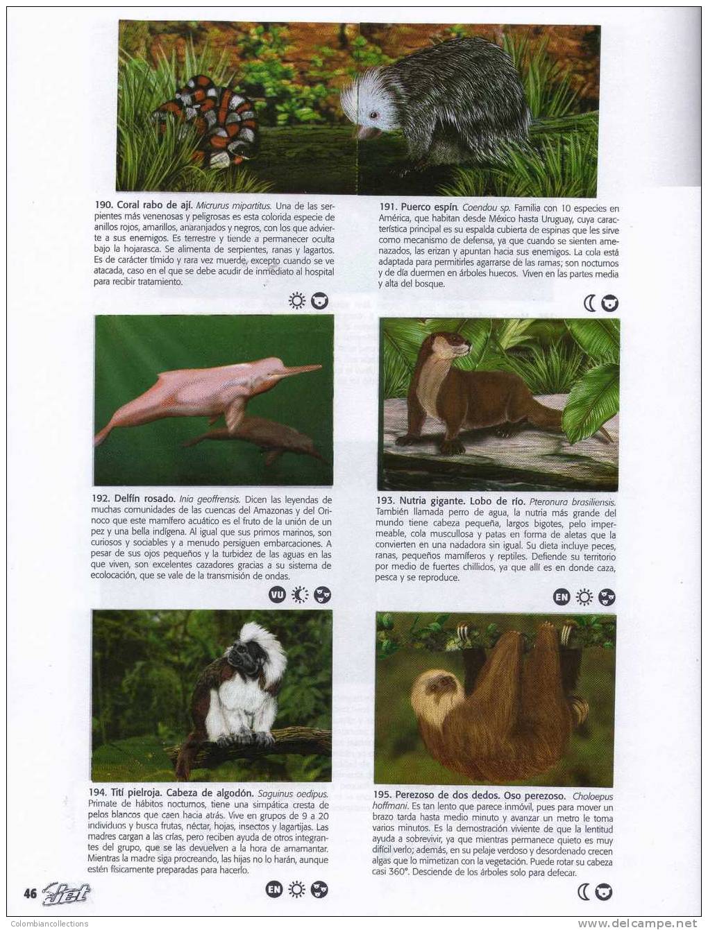 Lote 750, Colombia, 2007, Album De 250 Laminas, El Mundo De Las Animales, Chocolatinas Jet - [4] Temas